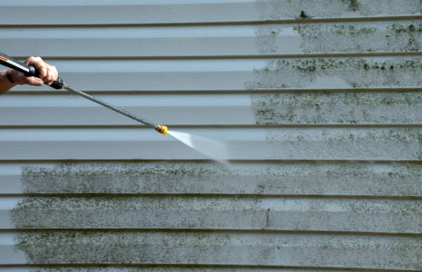 Best Exterior Home Cleaning  in Edneyville, NC