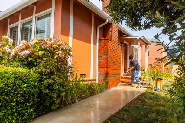 Best Power Washing Near Me  in Edneyville, NC